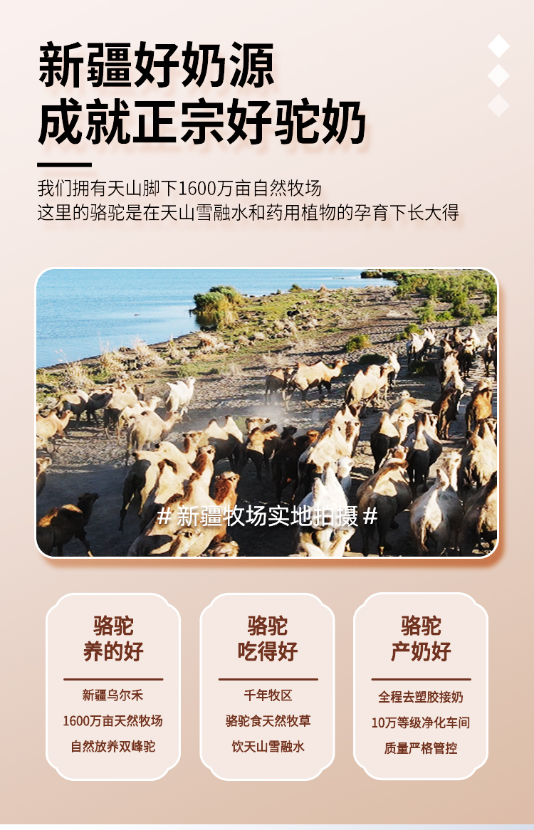 骆驼奶粉怎么买才是真正的,骆驼奶粉跟普通奶粉哪个更好