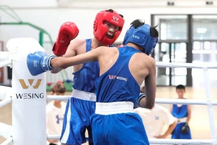 “我想多拿几块金牌！”嘉定、松江健儿全力备战市运会