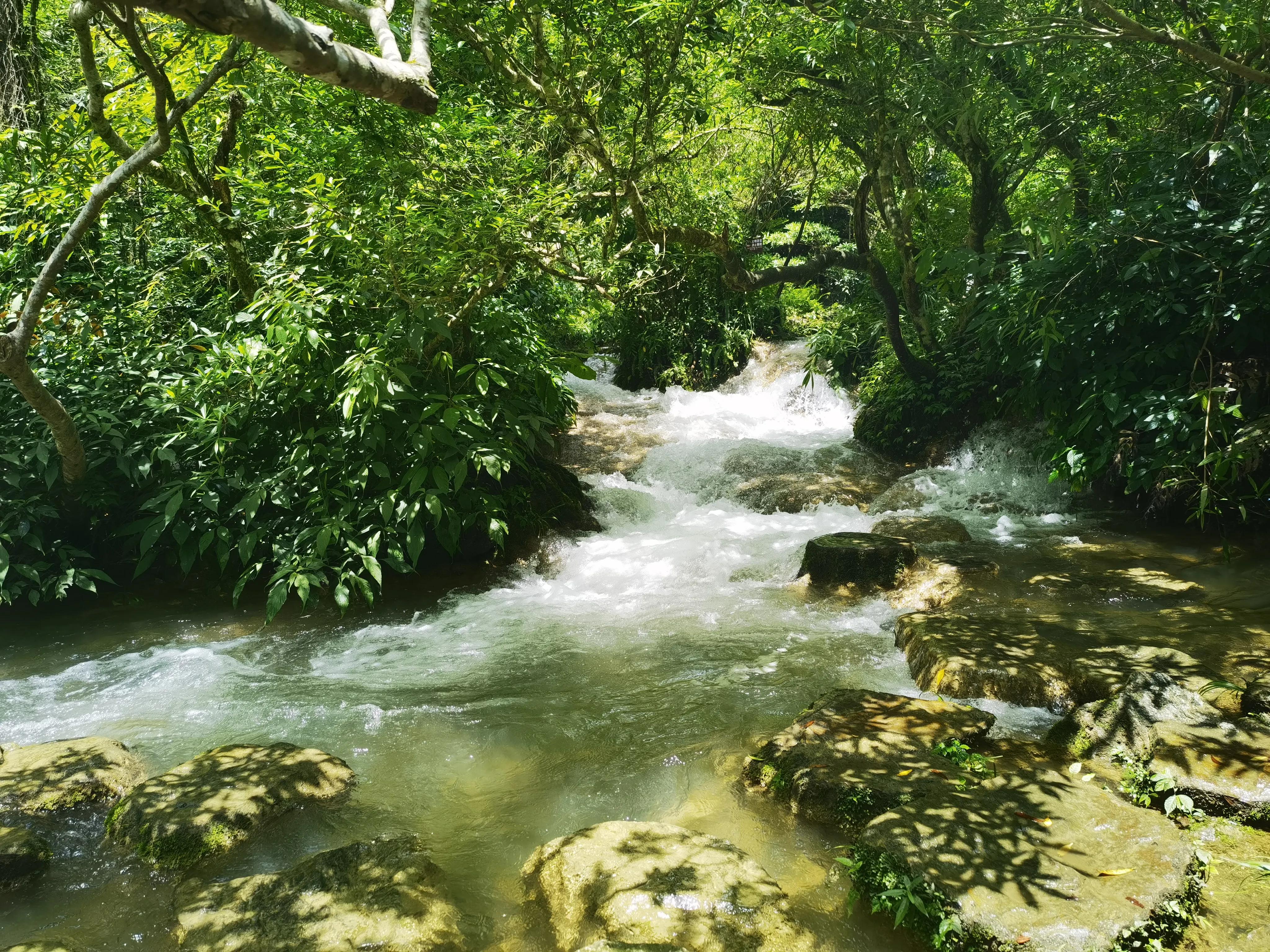 贵州游之荔波小七孔,贵州现在小七孔景区怎么预约