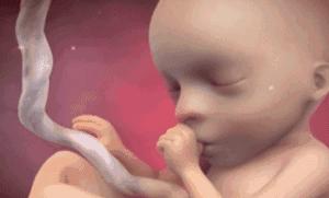 四维彩超宝宝不配合怎么办,四维彩超宝宝不配合怎么办吃什么