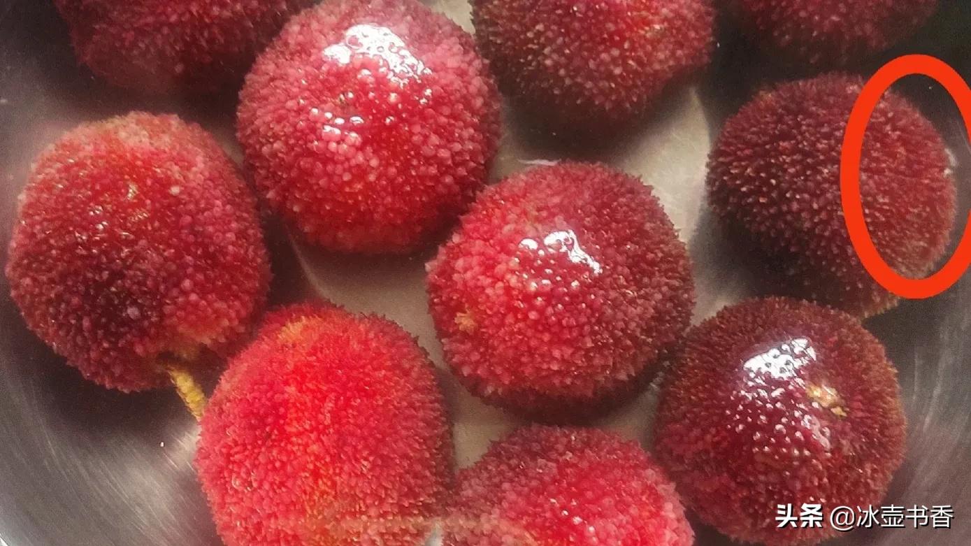 怕杨梅有虫怎么办,害怕杨梅里有虫子怎么办