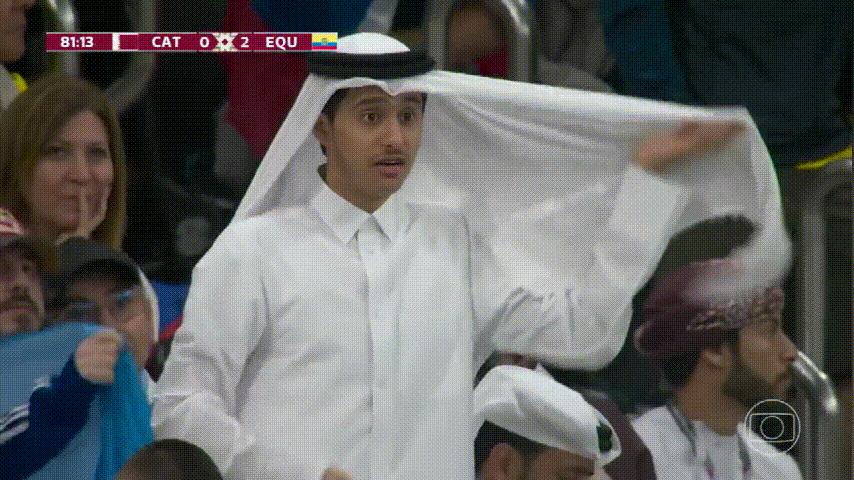 世界杯吉祥物拉伊卜飘逸亮相,世界杯吉祥物小鲤鱼