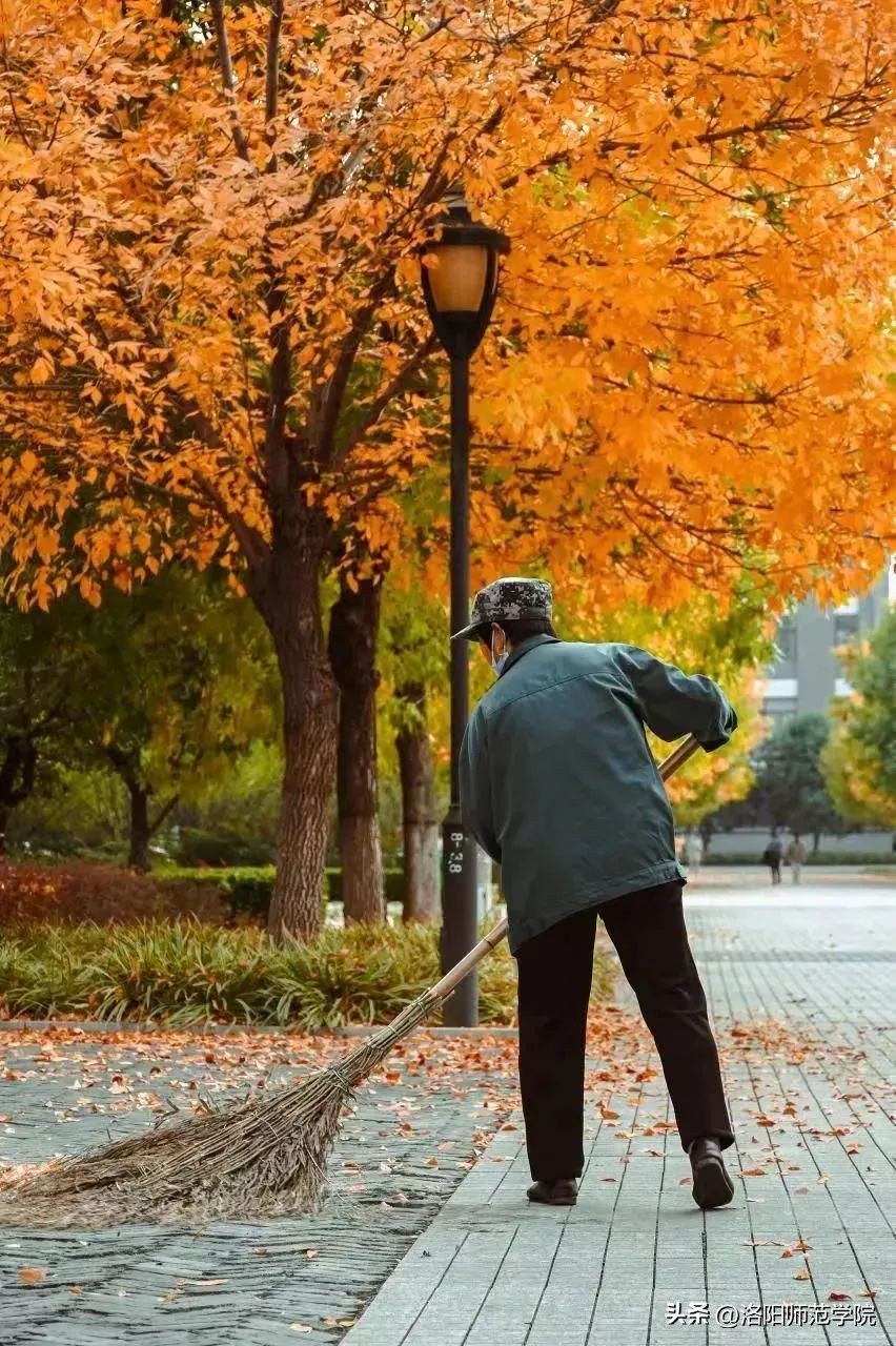 欢迎报考！选择洛师的N个理由