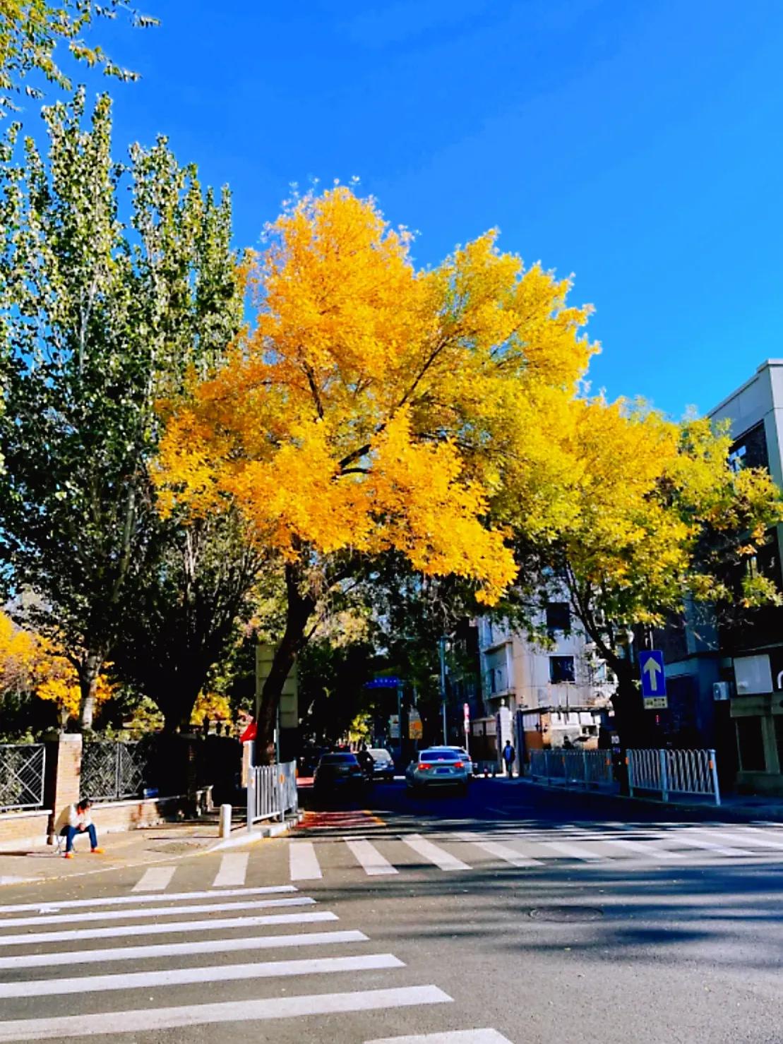 天津旅行攻略吃饭,天津哏都一日游