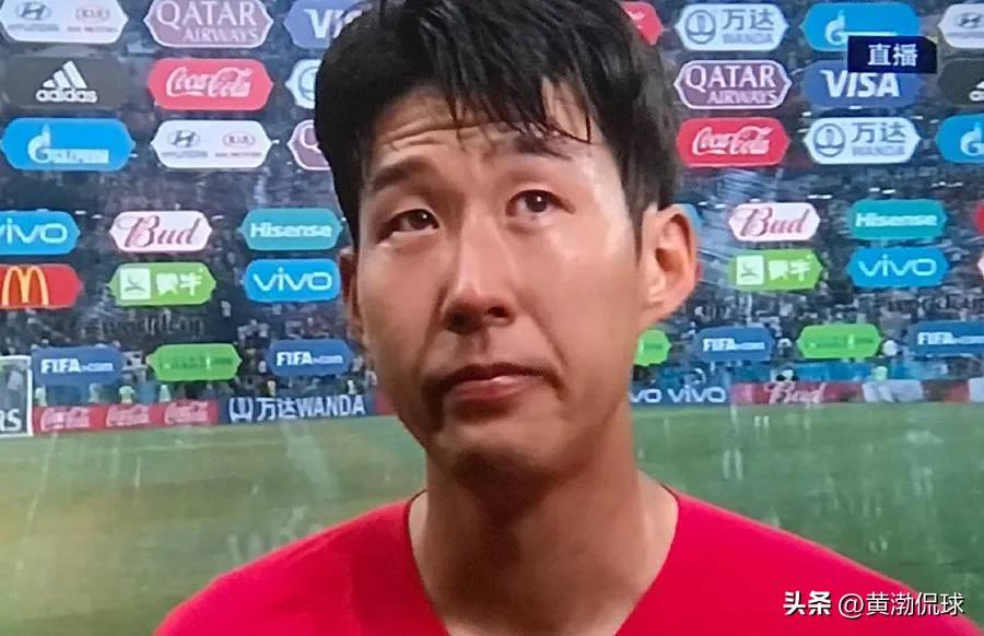 世界杯裁判被罚下场,世界杯裁判被骂