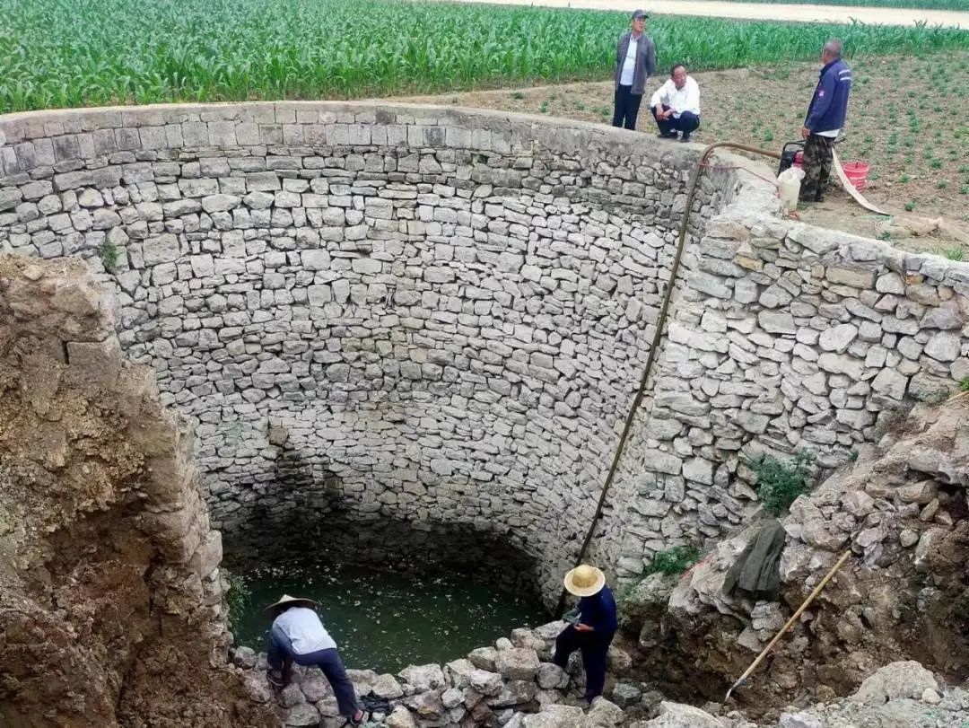 【新闻直通车】大众网点赞罗庄！市域社会治理经验汇｜“爱·在乡间--爱路护路百镇千村行”活动启动仪式举行