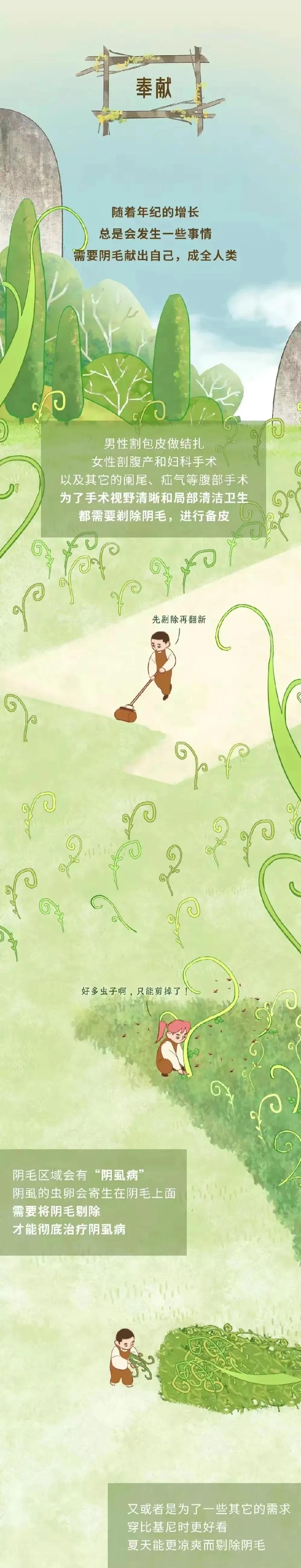 人类阴毛从初生到脱落的全过程，中间都会出现哪些变化？好神奇