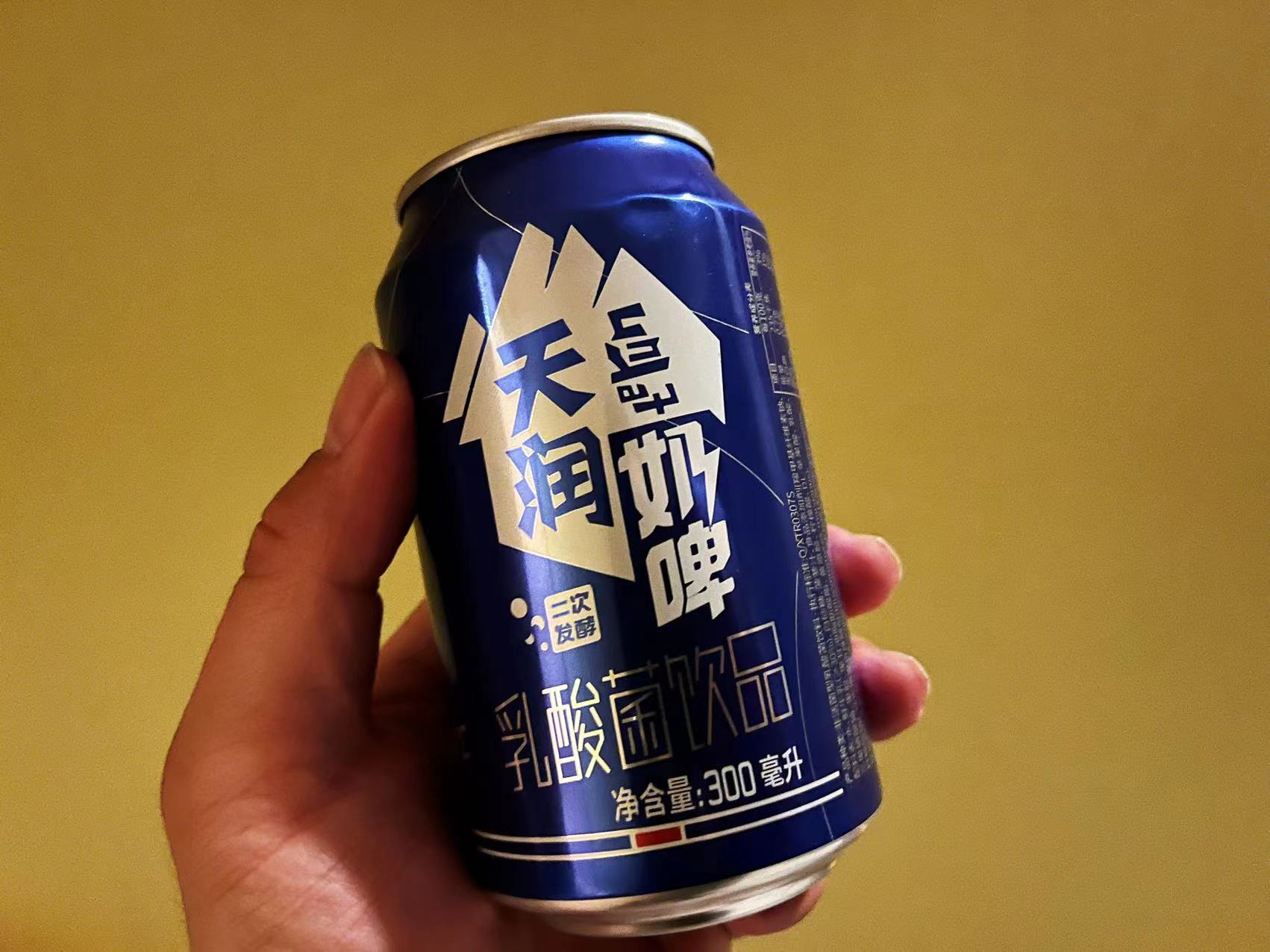 伊犁新丝路美食,伊宁市新开美食