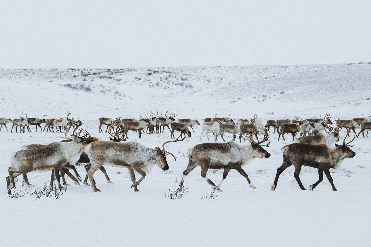 俄罗斯人的日常生活图片,俄罗斯人的真实照片