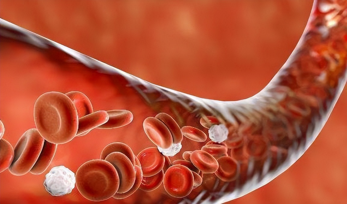 软化血管活血化瘀的中成药有哪些,心脑血管活血化瘀通络的中成药