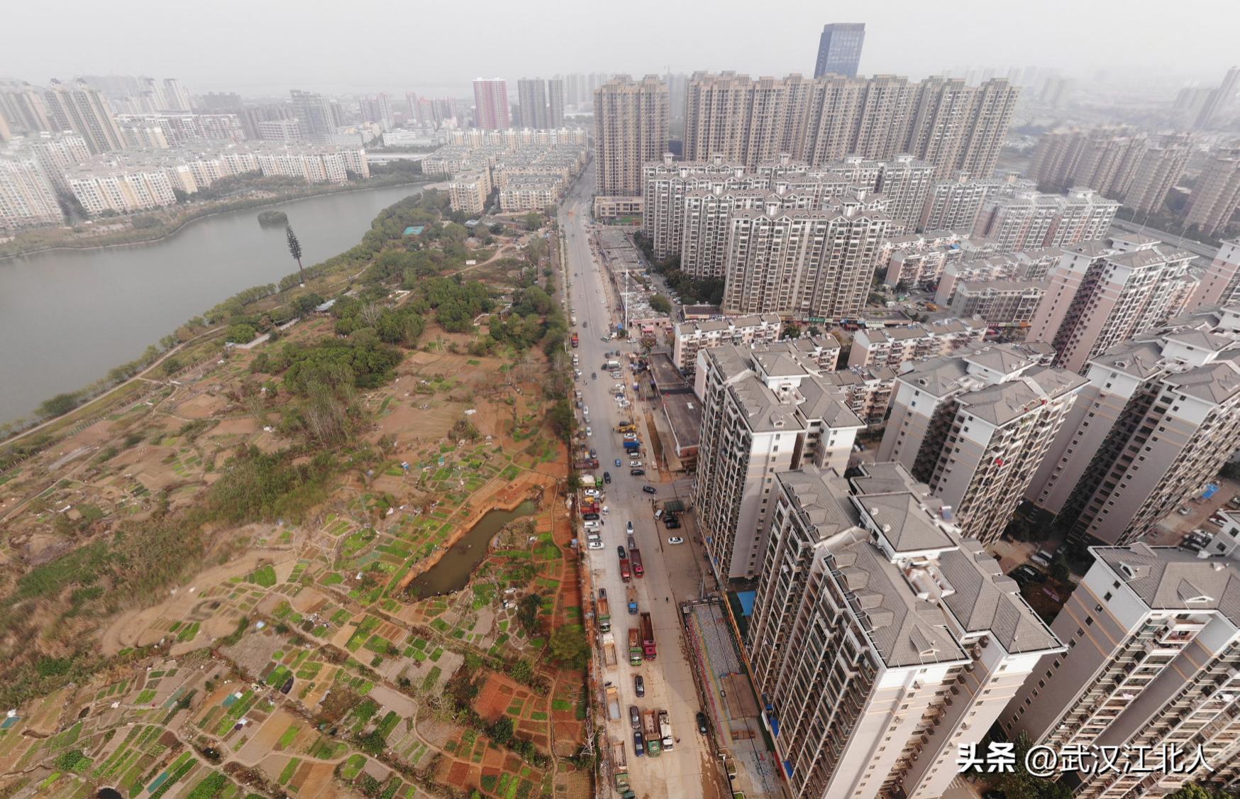 武汉市最大的主城区是哪个,武汉人口密度最大的地方