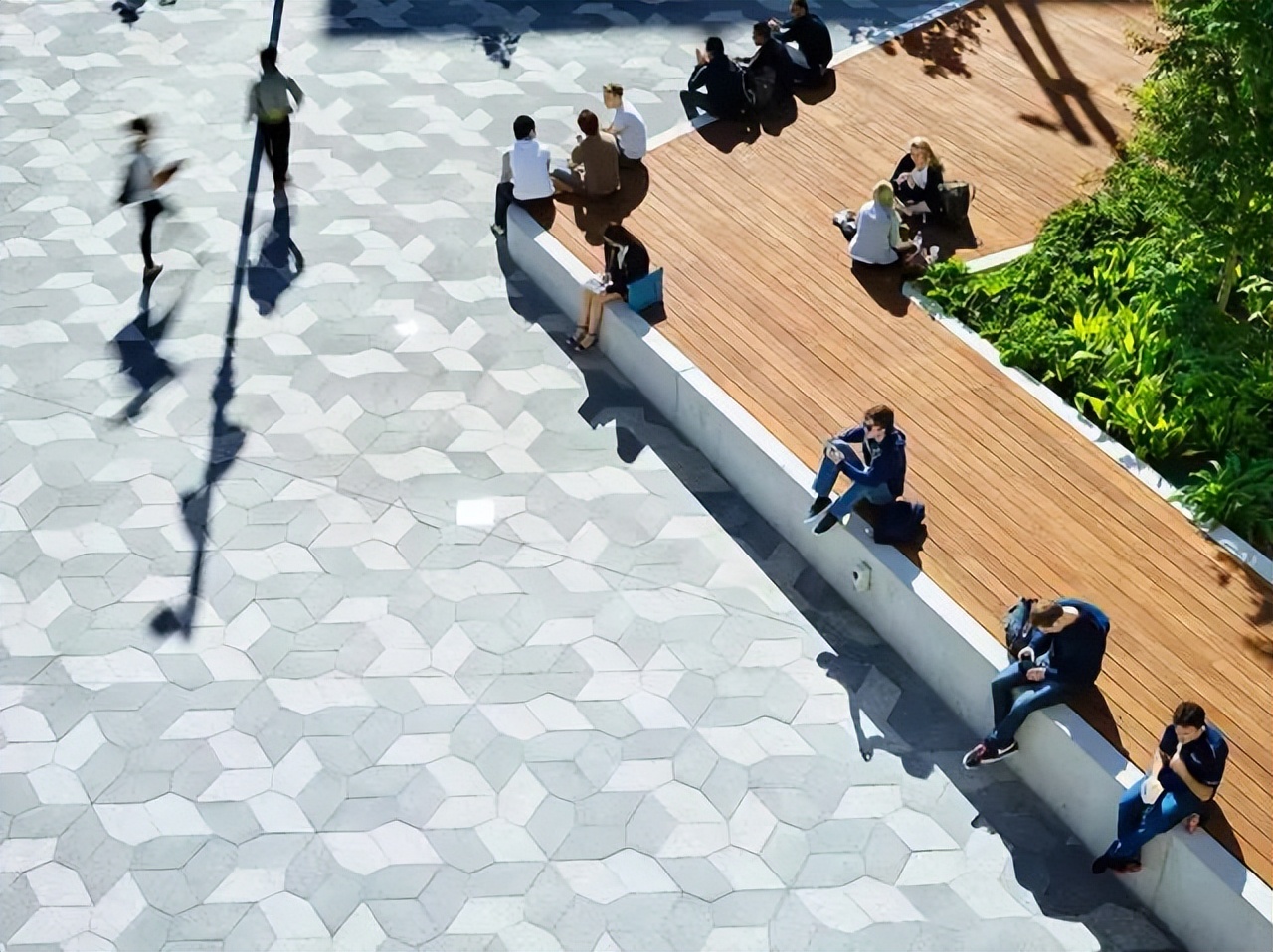 大学校园绿化设计,现代校园绿化规划设计