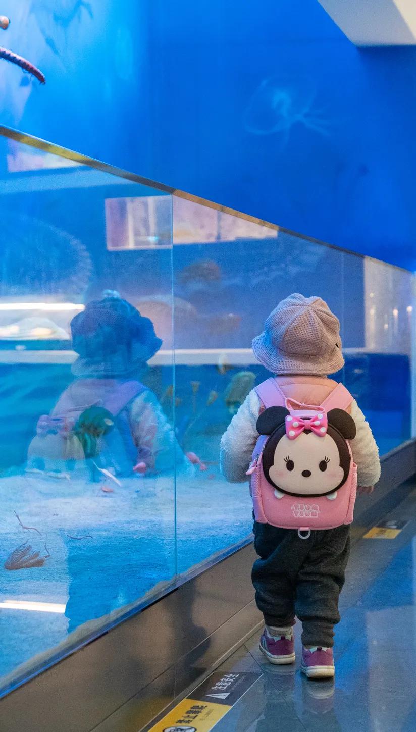 相约博物馆的感受,古生物博物馆南京