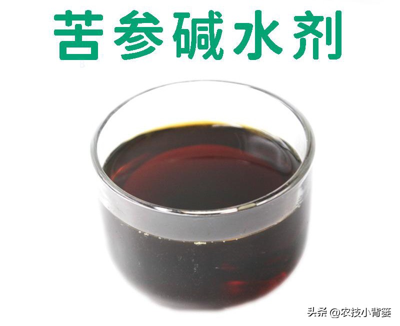 公认最好的对植物无害杀虫剂,植物广谱杀虫剂