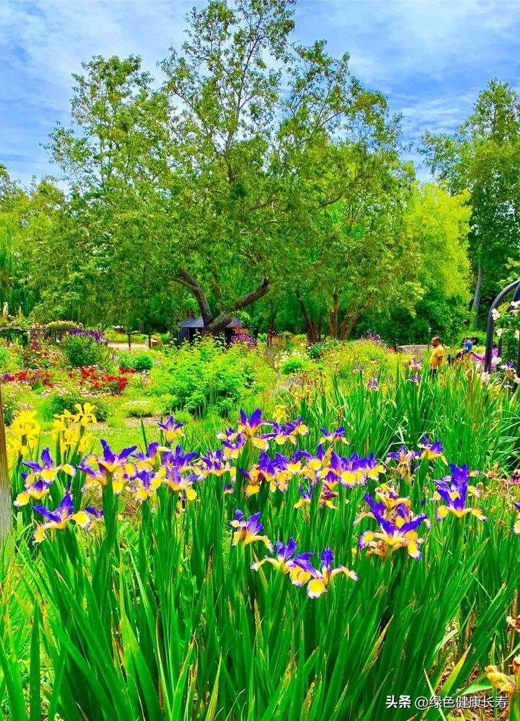 世界花园风景,世界花园