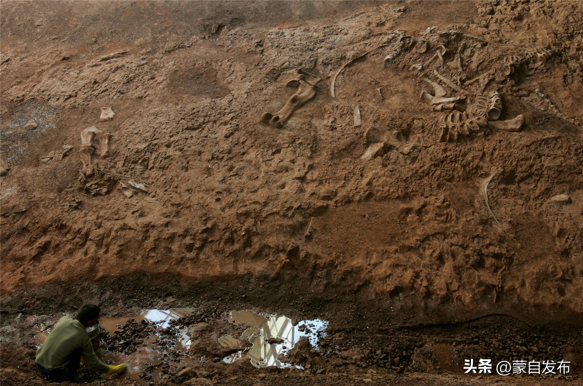 2023全国*会两**特别策划①丨这里是云南——文明之源