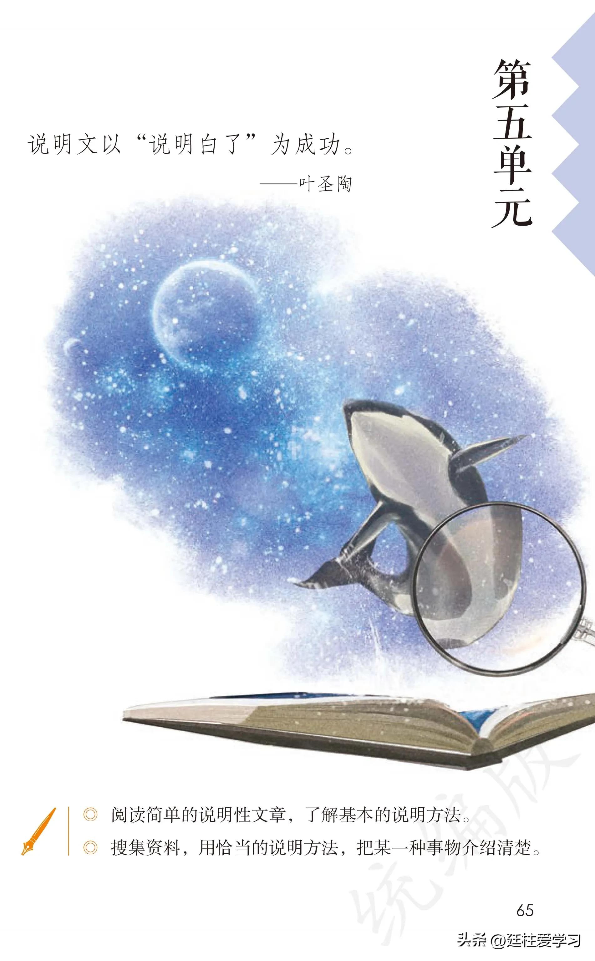 小学语文五年级上册22课,小学语文五年级上册知识点