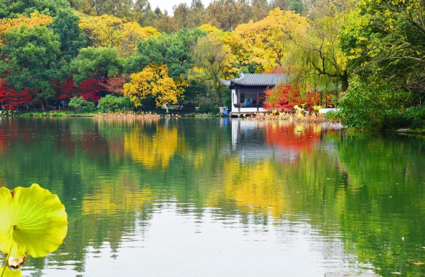 西湖的秋景诗句,西湖的秋天是美丽的