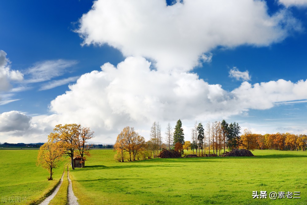 女作家去做保姆517,女作家去做保姆最新篇文章