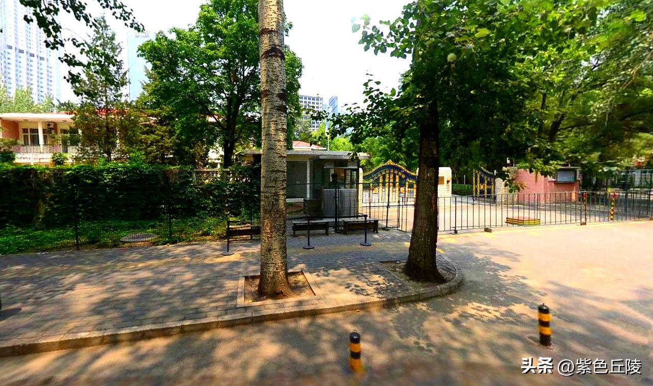 乌克兰人如何看待中乌关系,中乌关系最新消息