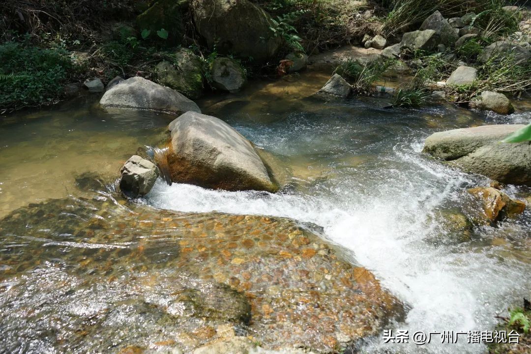 广州夏日避暑指南,广州夏日避暑胜地室内