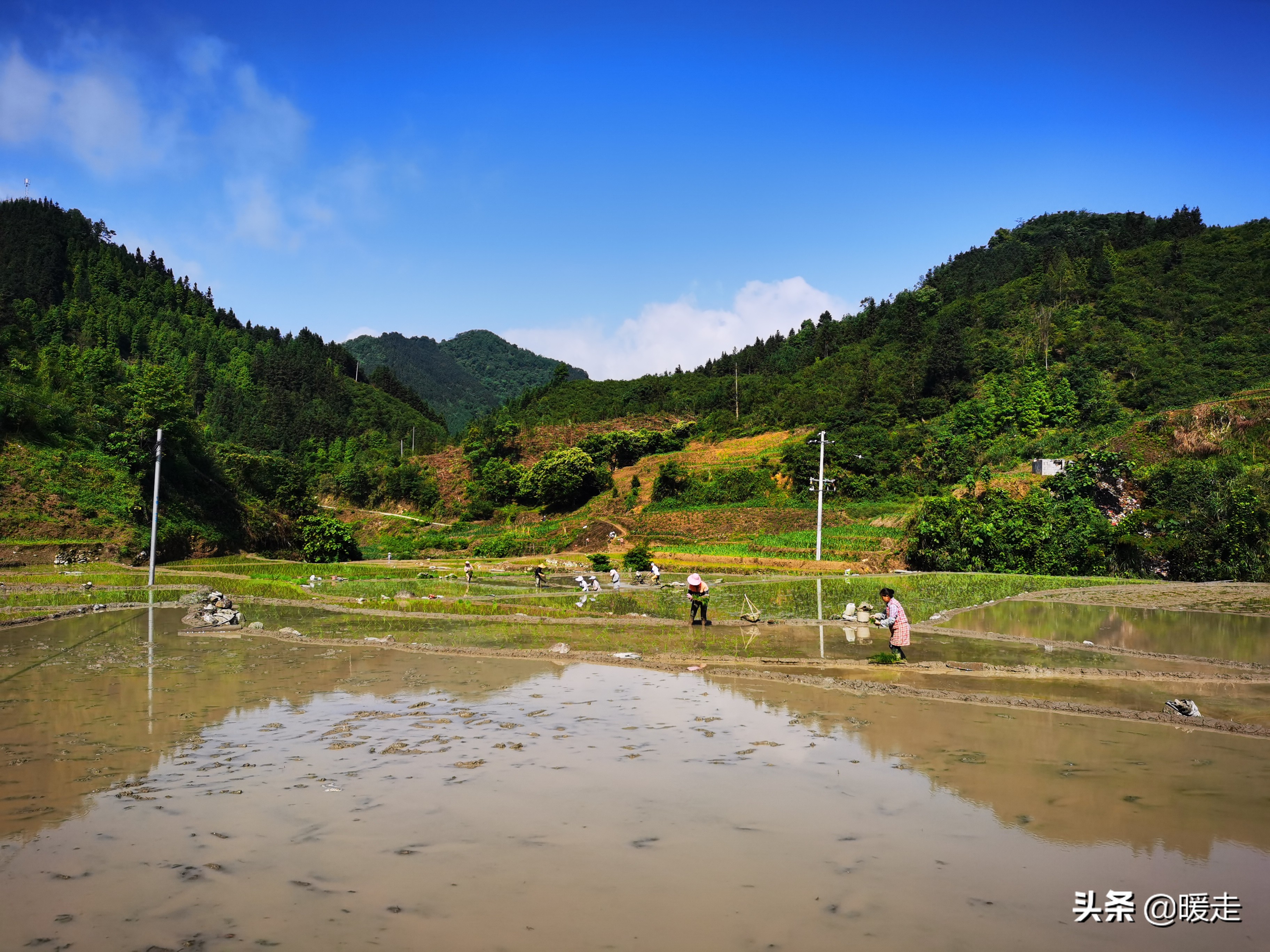 广西农民种田,乡村种田的生活视频