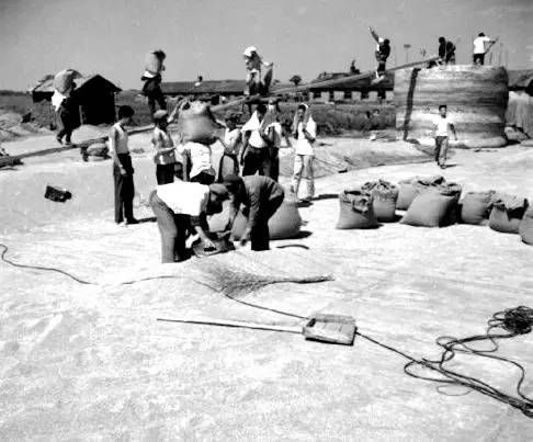 北大荒知青生活叙事诗——北大荒“游击词”100篇