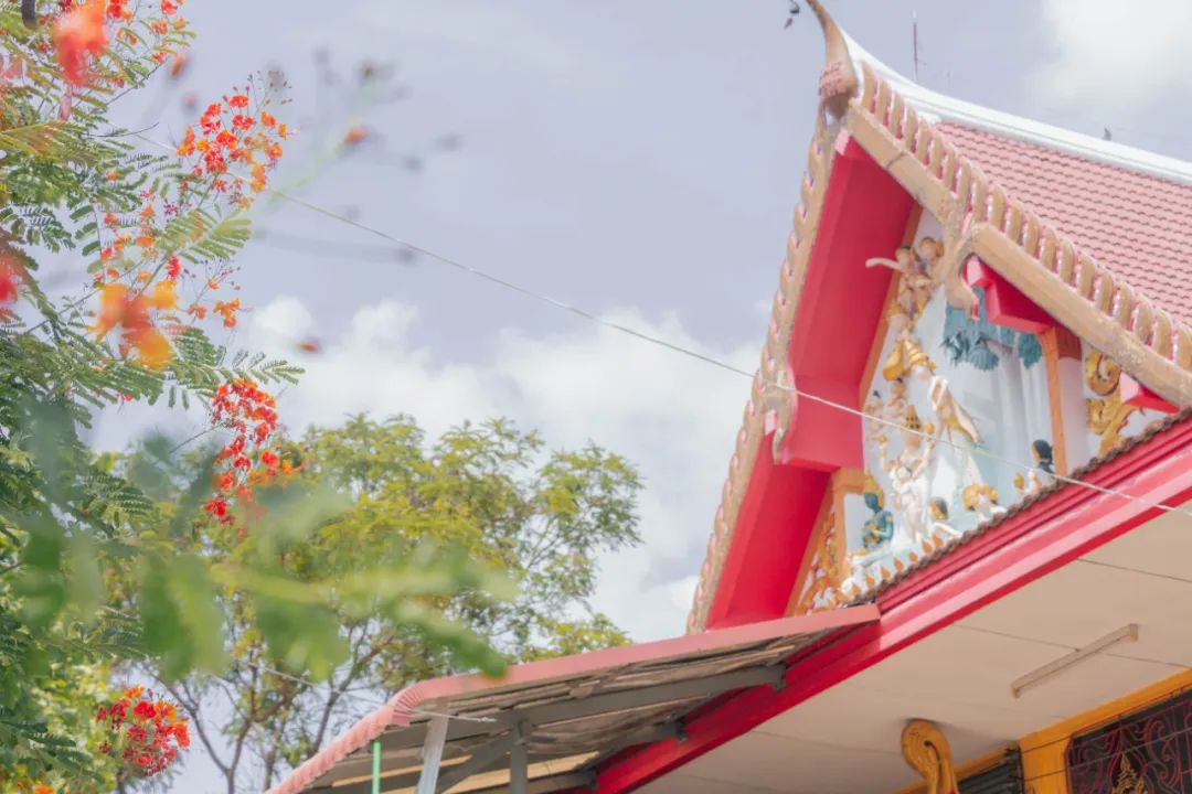 鍘绘嘲鍥芥浖璋峰拰鑺彁闆呯殑鏀荤暐,鍘绘嘲鍥界帺杞浖璋疯姯鎻愰泤