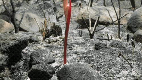 96岁还在奔波工作，这老爷子做出了今年9.8分神片