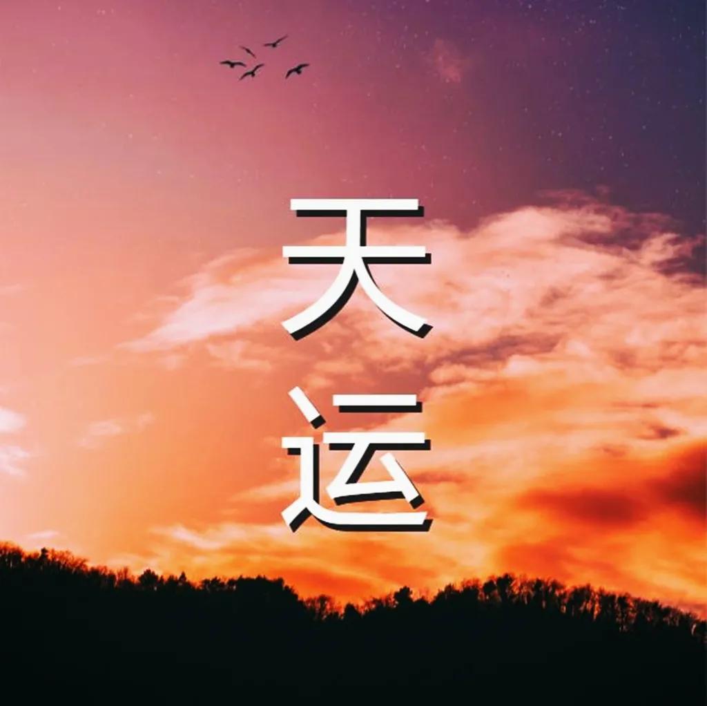 天道番外篇,天道外仙全集免费观看