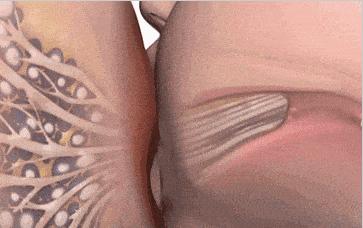 隔夜的母乳要冷冻还是冷藏,隔夜奶水没放冰箱可以要吗