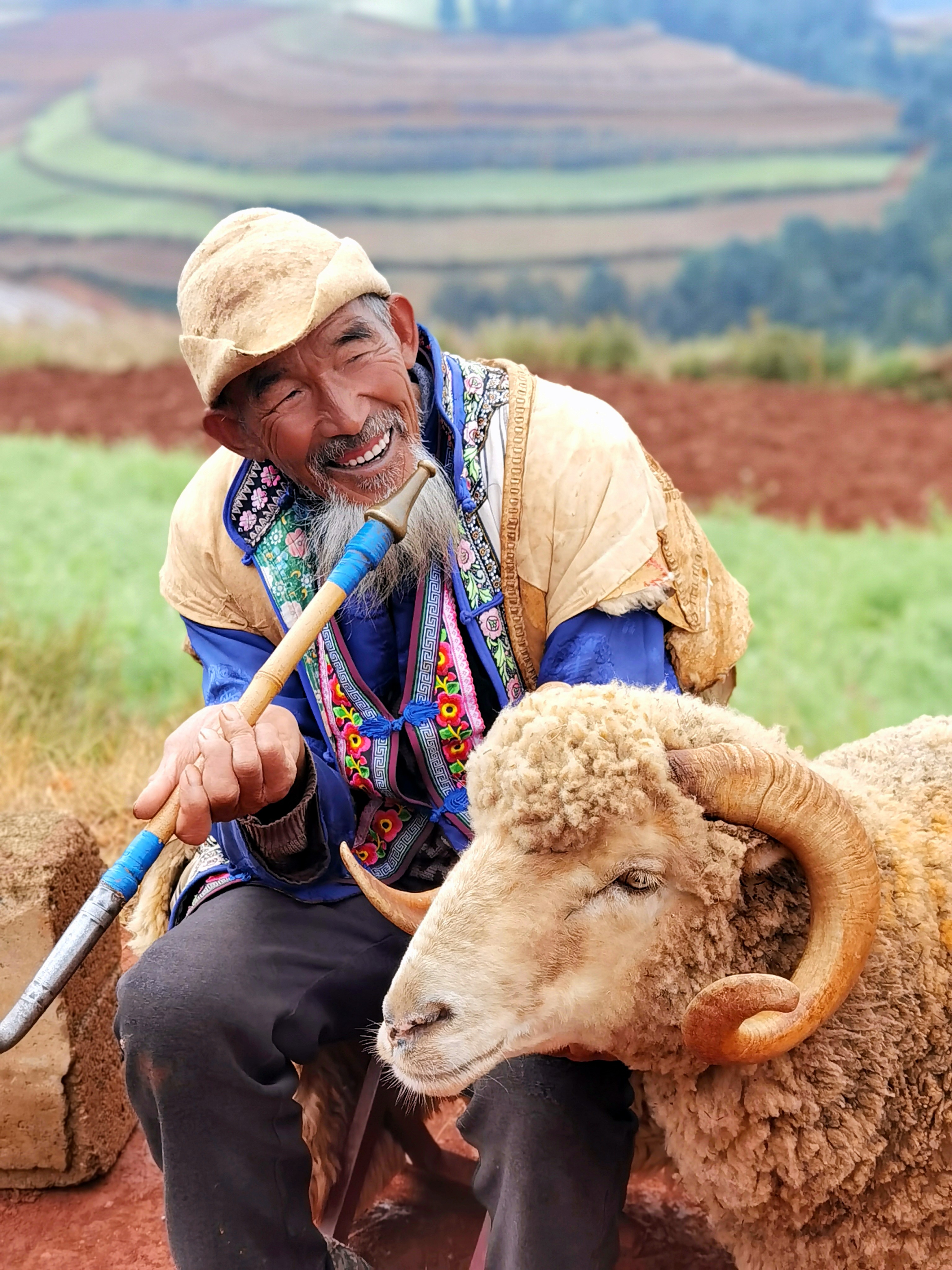 东川风景调色板,云南东川红土地上帝打翻了调色盘