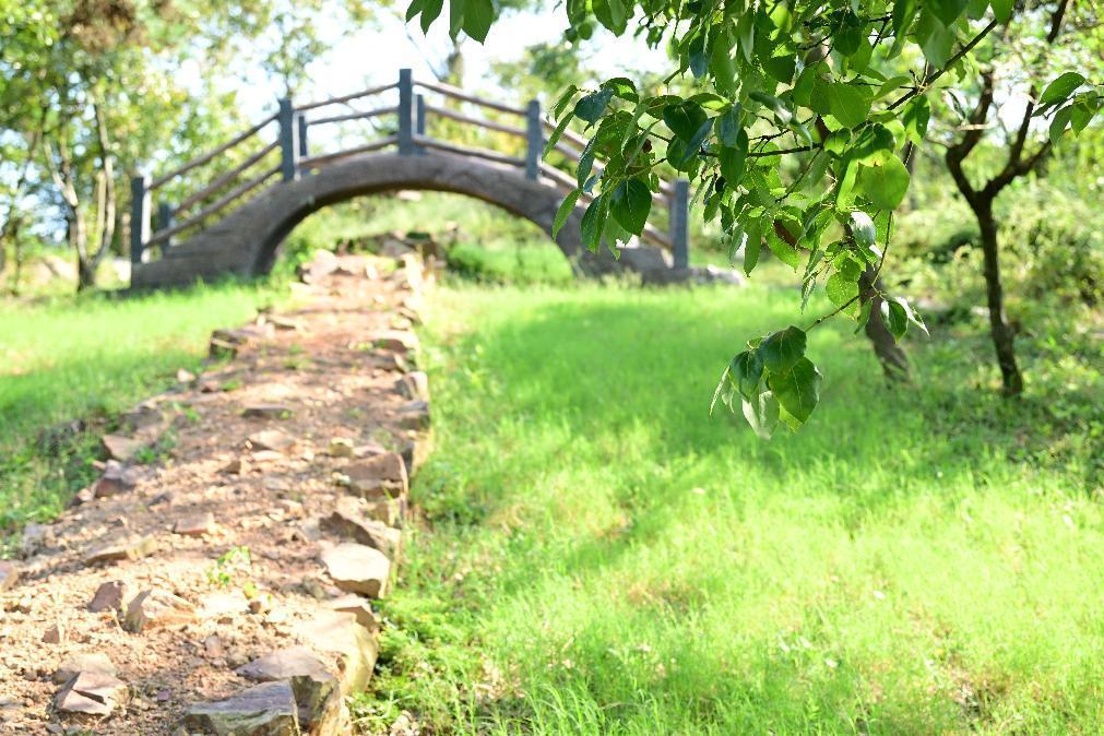 娌夐唹涓滈路闂插眳,榫欏北涔岀煶鍙ら亾寰掓