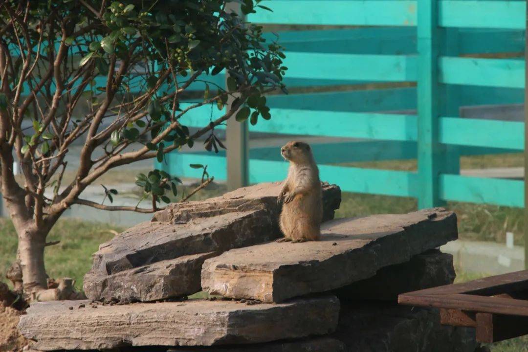 张家港农场网红打卡,周边农场网红打卡点创意