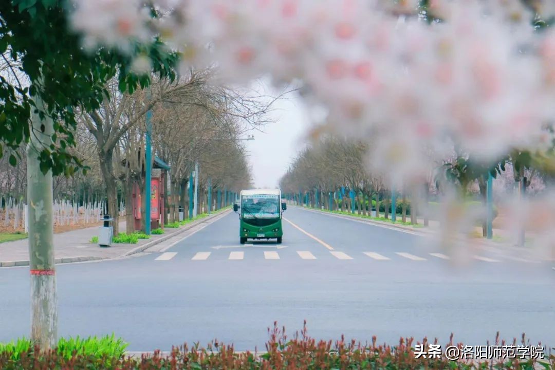 洛师好考吗,洛师最好的专业