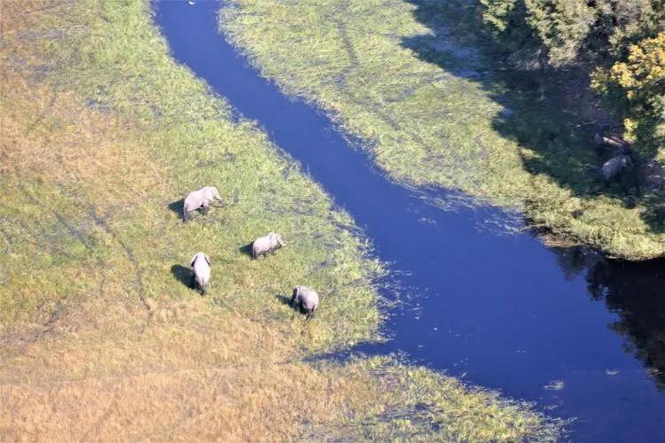国民1/4都是艾滋病患者的博茨瓦纳，成了最安全最美丽的非洲国家