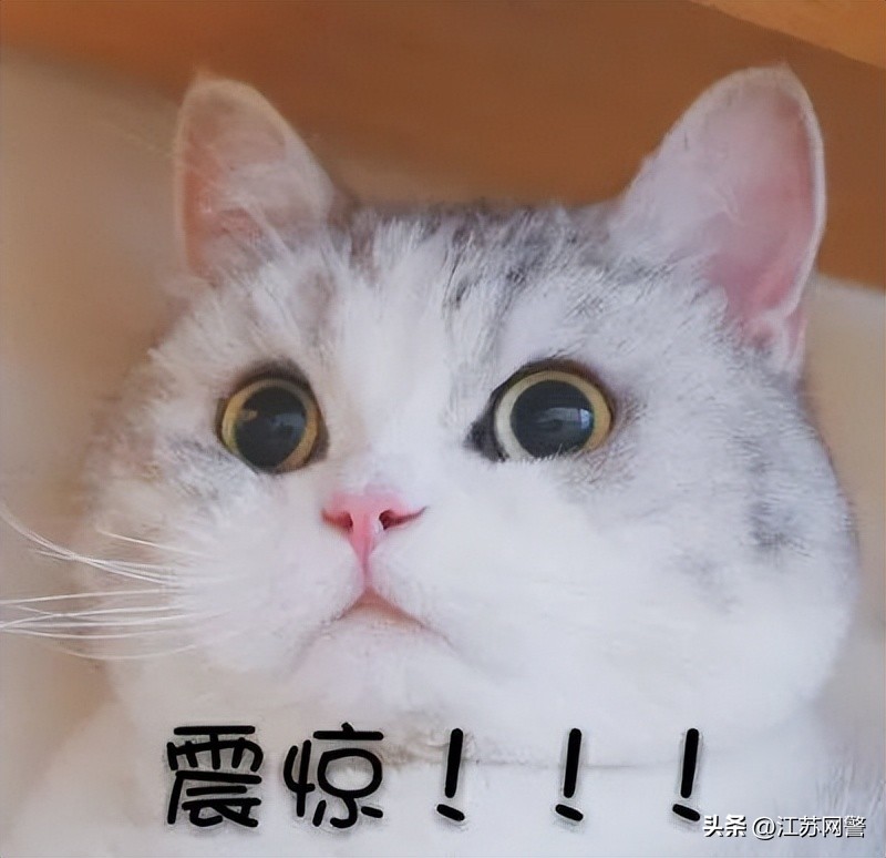 江苏南通：六旬大娘三个手机上百个理财投资群，在干什么大事？