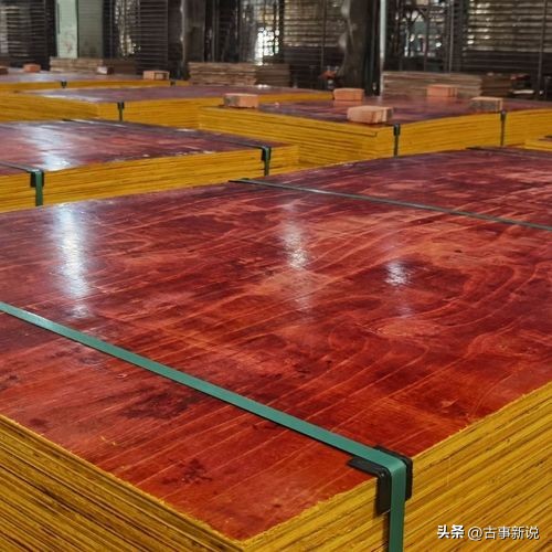 广西木业崛起,广西最好的木业企业