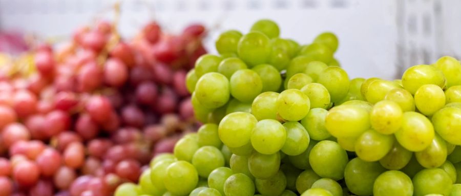 关于水果的趣味知识,肝喜欢的水果