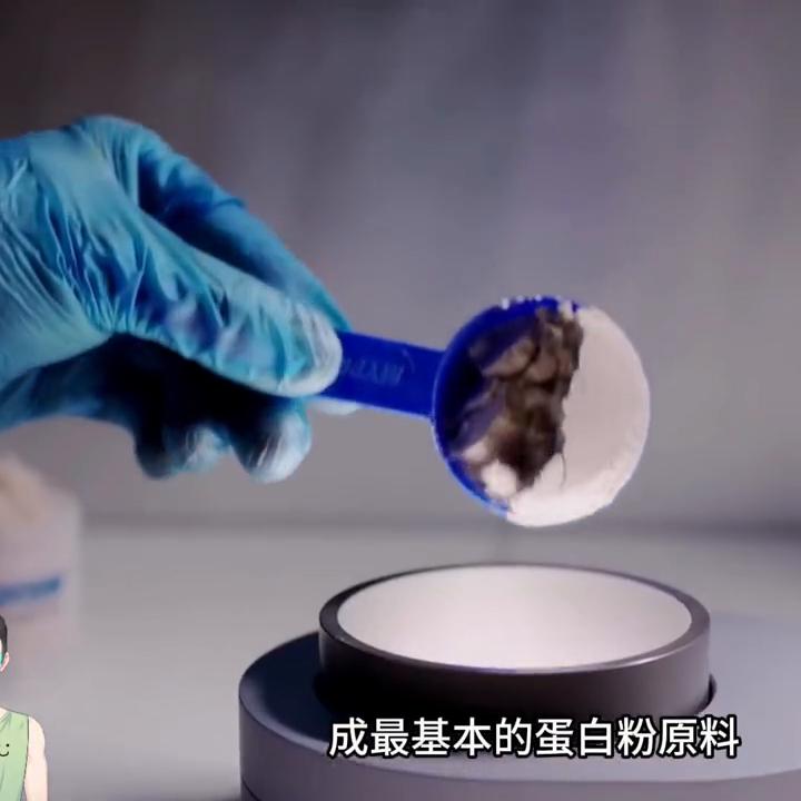 增肌粉与蛋白粉的区别,蛋白粉和增肌粉外观区别是什么