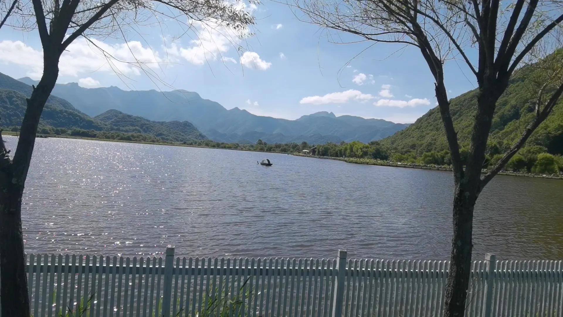 神农顶大九湖一日游价格,神农顶大九湖一日游