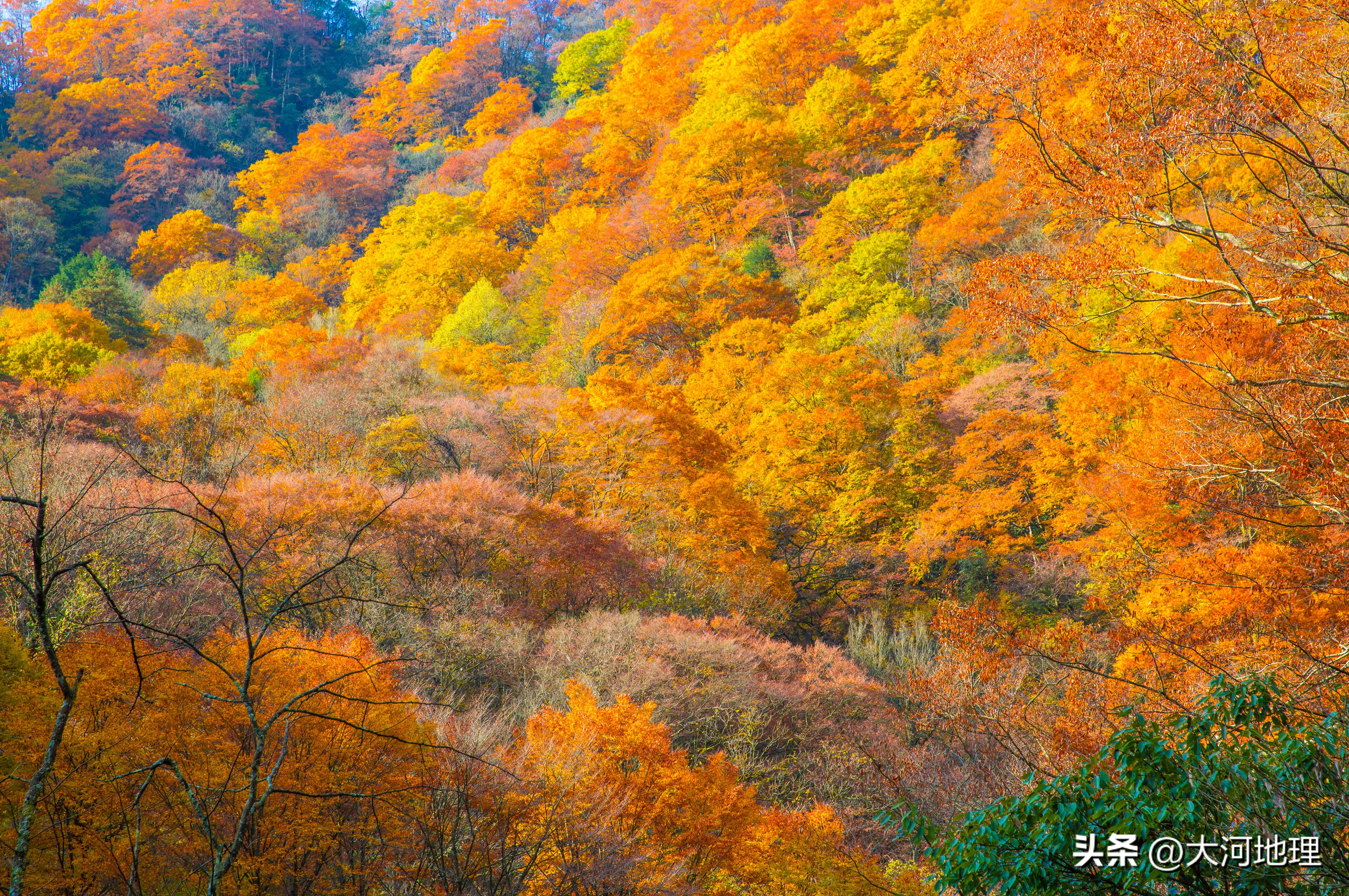 中国南方这30个景点,难说多知名,但敢说它的秋色最艳最浪漫
