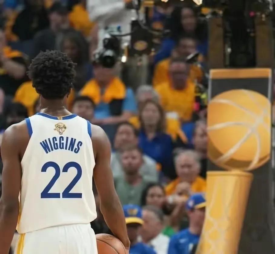 保温杯里泡红牛,枸杞兑红牛