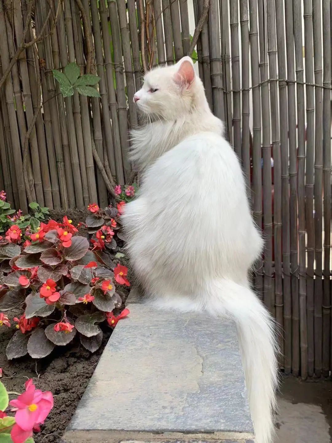 赵明明：上班摸鱼，是我的梦想!