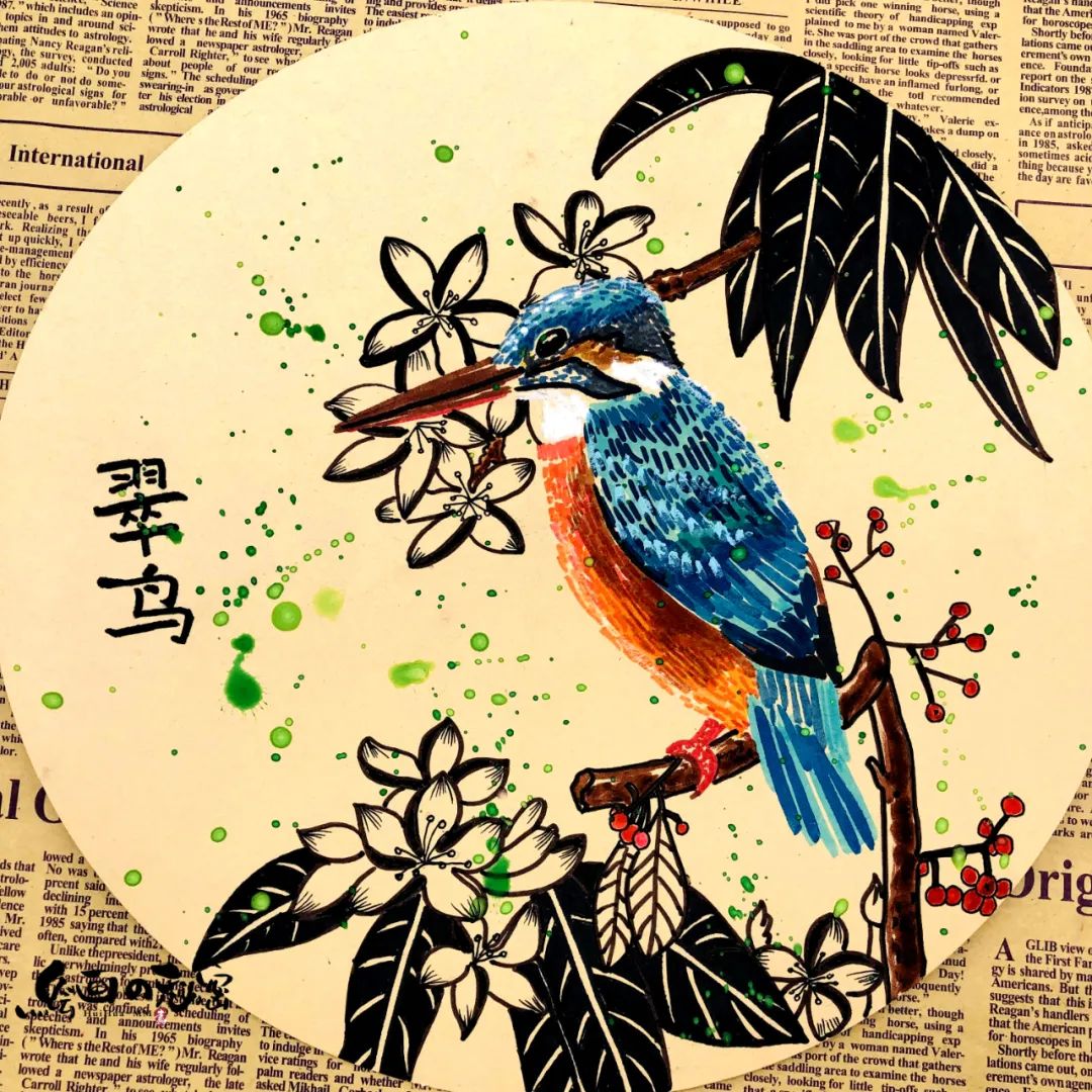 翠鸟育雏全集完整版,翠鸟生活环境