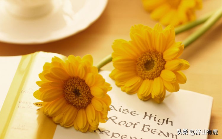 人生命运定吉凶,出生年月吉凶分析