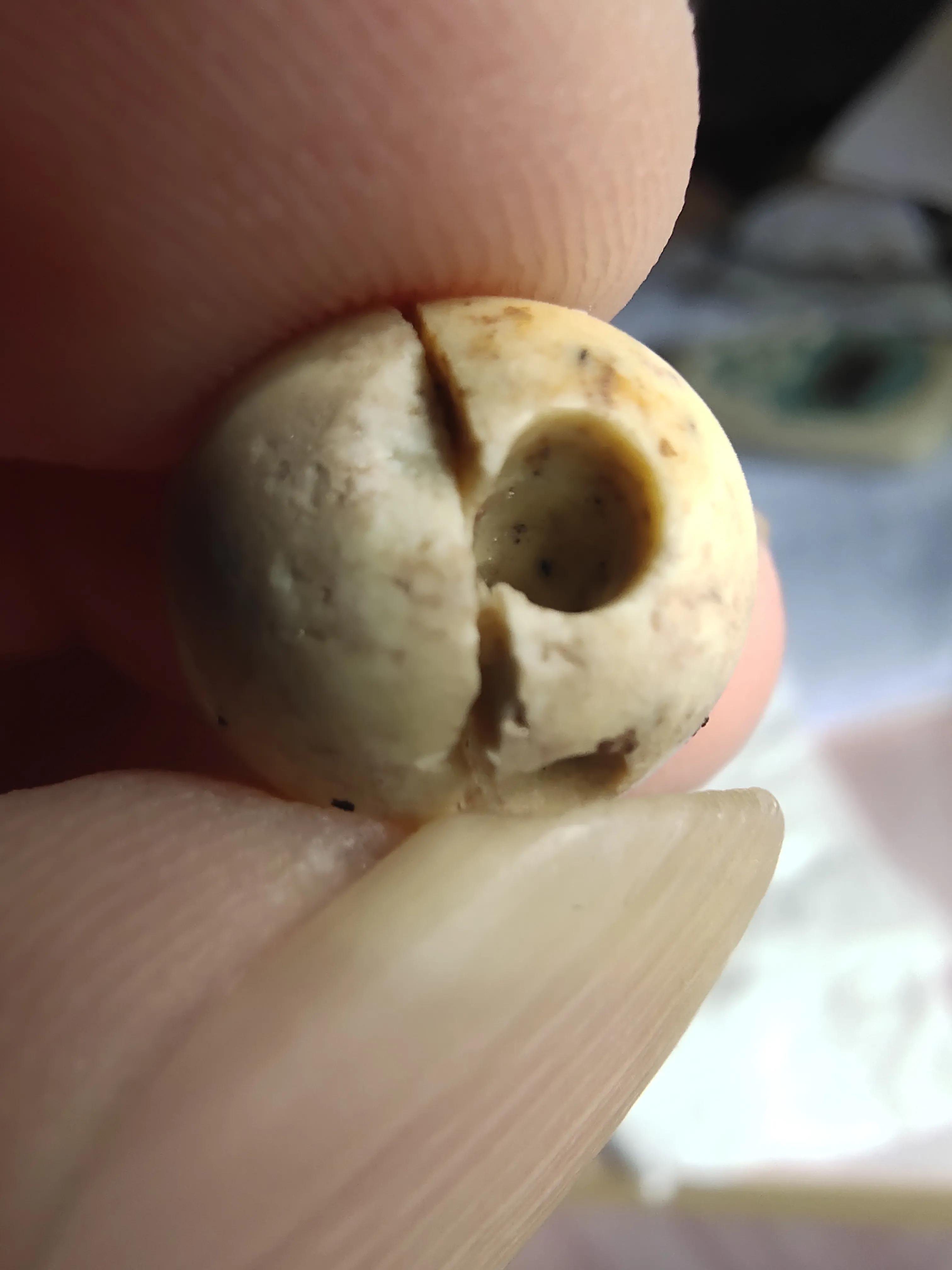 试论高古玉标本是如何毁灭的