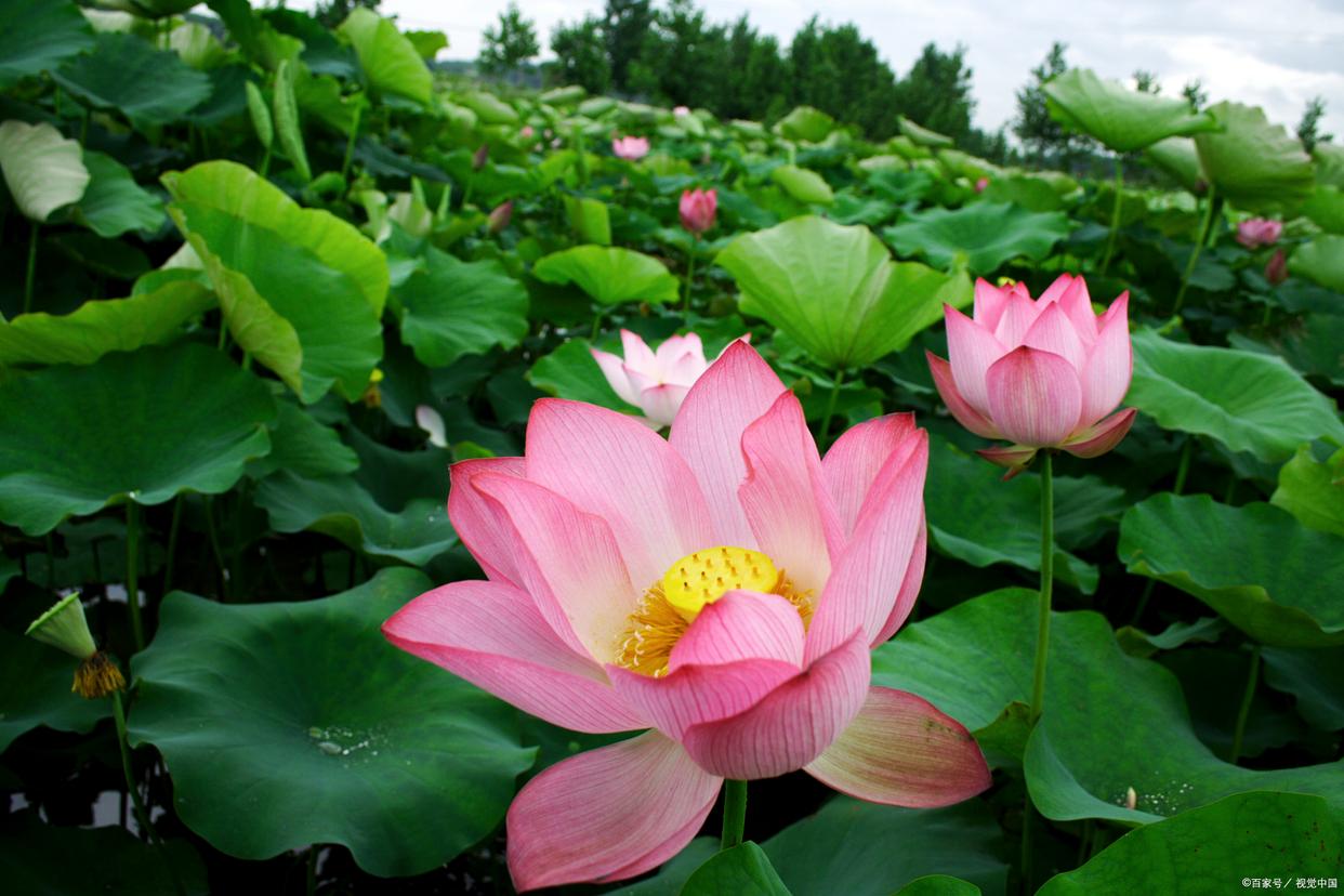 太仓昆山游玩必去景点推荐,太仓旅游景点排行榜前十名