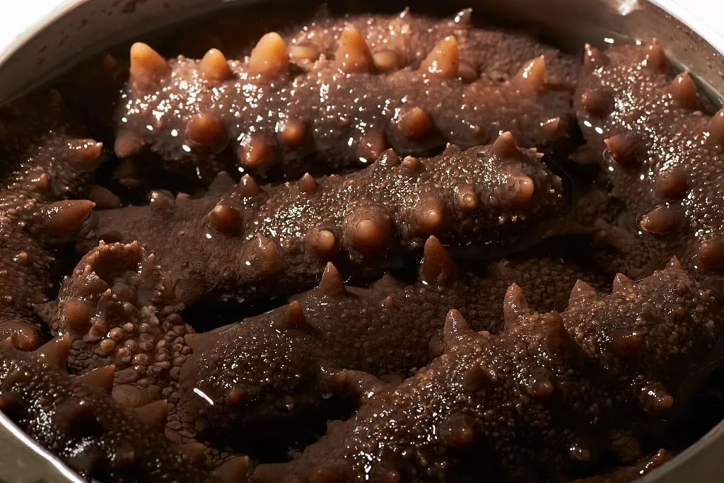 海参稍微泡变质了但是不臭能吃吗,活海参可以直接冷冻吗会不会变质