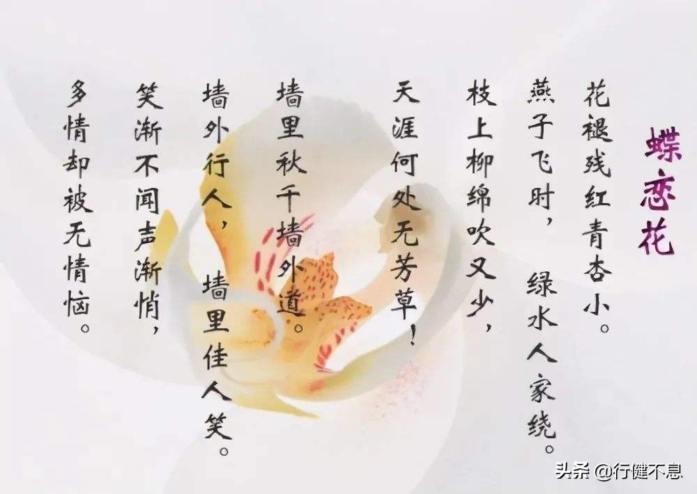 关于咏柳著名诗句及其赏析,咏柳经典诗词100首